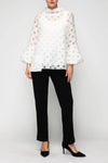 IC Collection 7527T  Fall 25