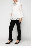 IC Collection 7527T  Fall 25