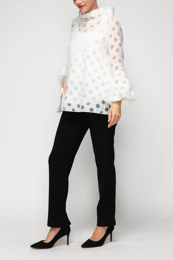 IC Collection 7527T  Fall 25