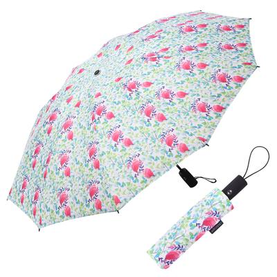 Raincaper Folding Travel Umbrella - Spring Watercolor