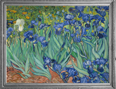 Raincaper Fine Art Travel Cape - Van Gogh Irises