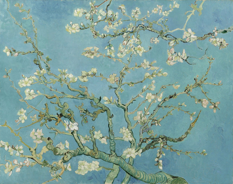 Raincaper Fine Art Travel Cape - Van Gogh Almond Blossom