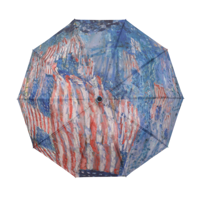 Raincaper Folding Travel Umbrella - Hassam Avenue in the Rain